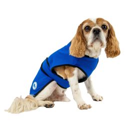 Ancol Ice Paws Cooling Dog Vest