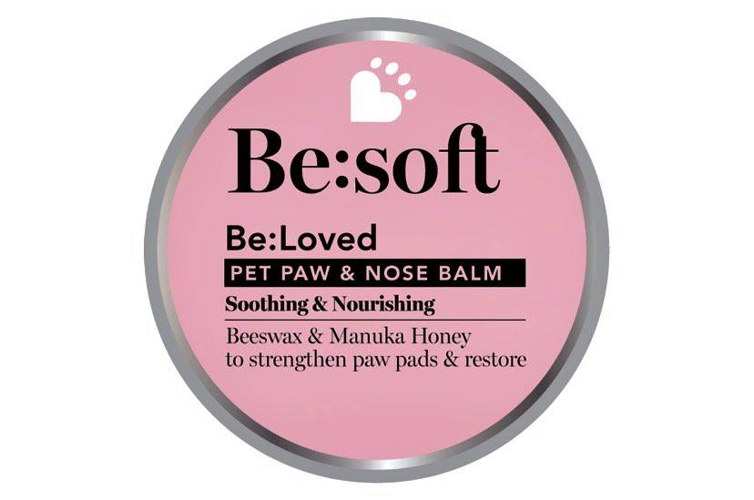 106531878_716052789195897_6744316108360402684_n