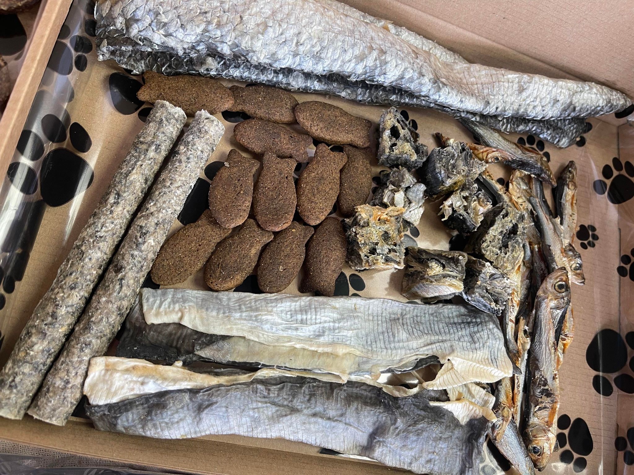 348387735_3107729409533442_8210562295345390232_n