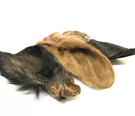 724116AD-7710-41C5-AD84-76BC667B5C5E