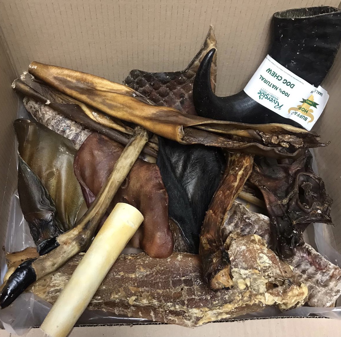 E9F38AEE-90E1-42E8-9590-9C7863C3EECF