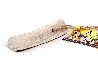 Easy Medium Antler Bar