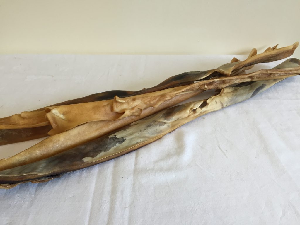 F0FC95B4-3FF9-4C0C-A9AF-5BE0481D084D