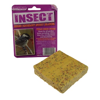 STG-Suet-Block-in-Tray-Insect