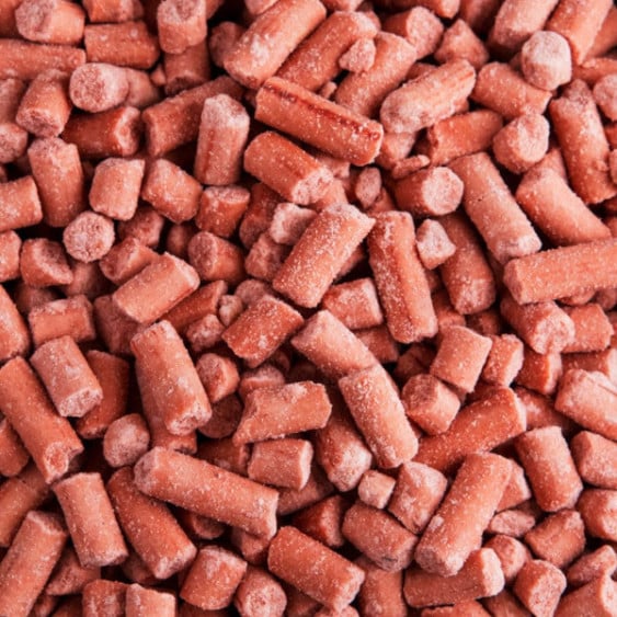 berry suet pellets