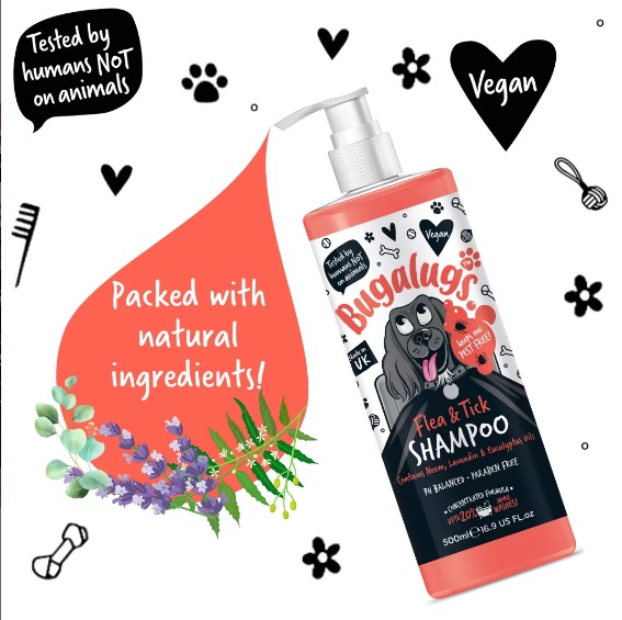flea and tick shampoo